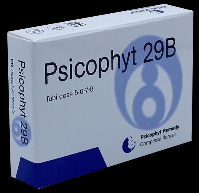 PSICOPHYT REMEDY 29B 4TUB 1,2G