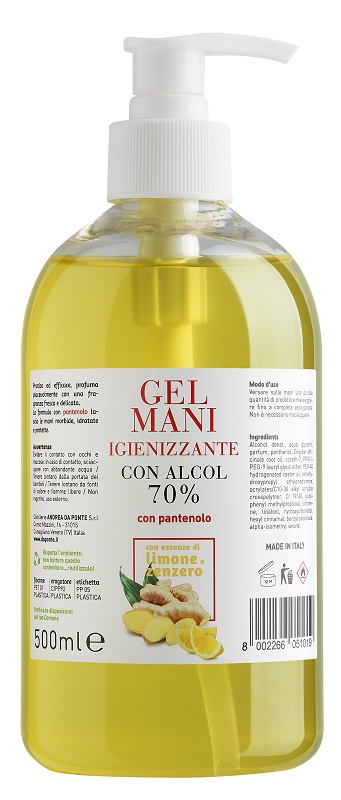 GEL MANI IGIENIZZANTE 500ML