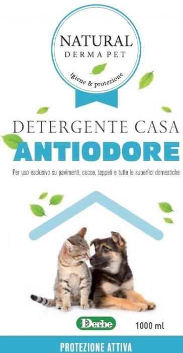 DETERGENTE IGIEN CASA ANTIODOR