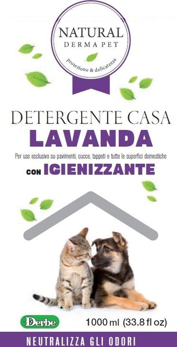 DETERGENTE IGIEN CASA LAVANDA