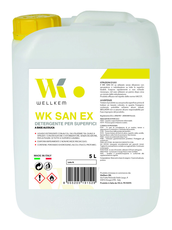 WK SAN EX DET SUPERFICI 5L