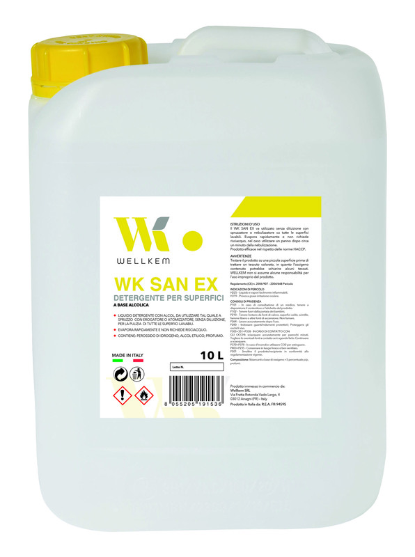 WK SAN EX DET SUPERFICI 10L