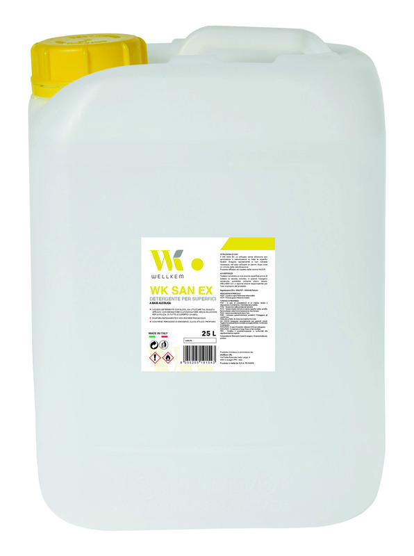 WK SAN EX DET SUPERFICI 25L