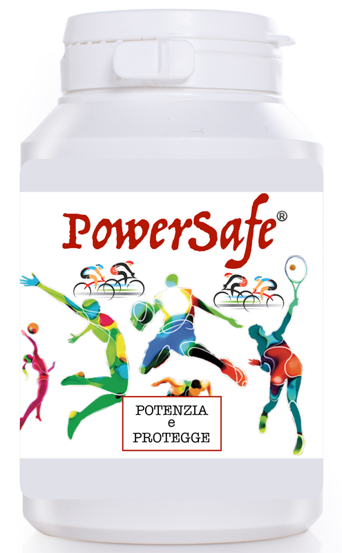 POWERSAFE POLVERE 90G