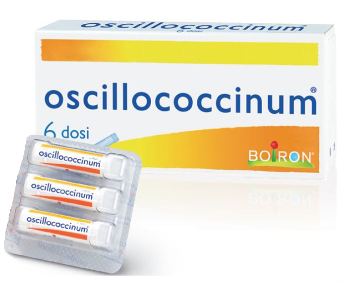 OSCILLOCOCCINUM 200K 6DO