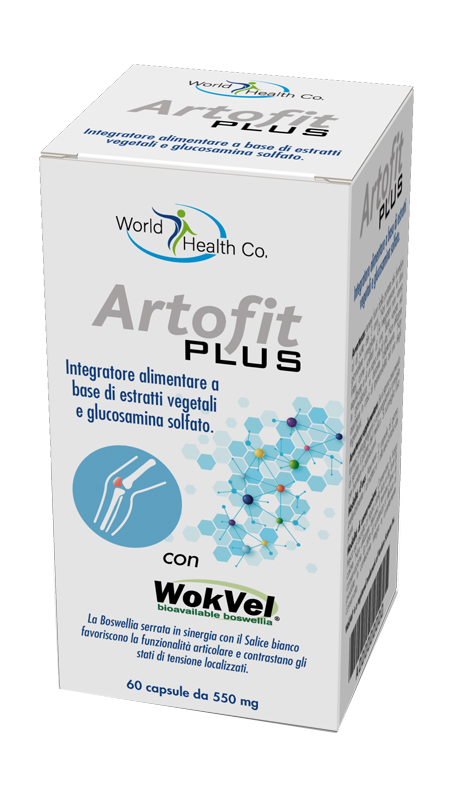 ARTOFIT PLUS 60CPS