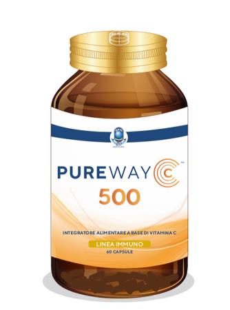 PUREWAY C 500 60CPS