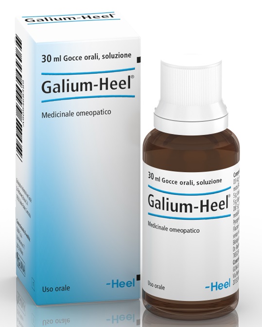 GALIUM 30ML GTT HEEL