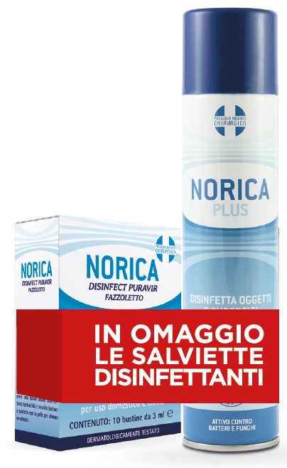 NORICA PLUS 300ML+SALV OMAGGIO