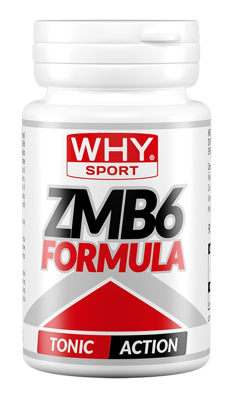 WHYSPORT ZMB6 FORMULA 90CPR