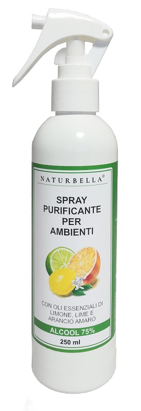 SPRAY PURIFICANTE AMB 250ML