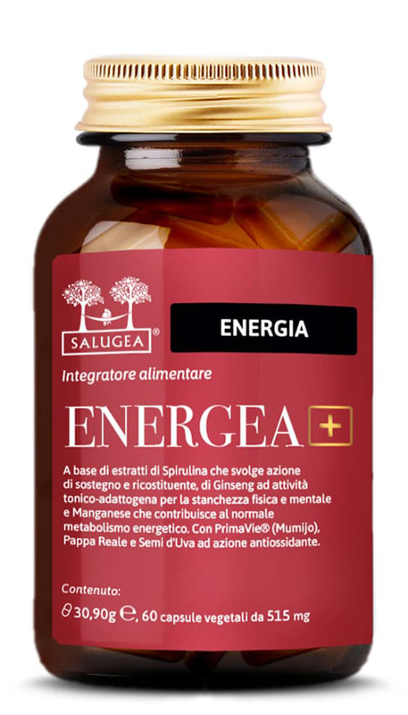 ENERGEA+ SALUGEA 60CPS