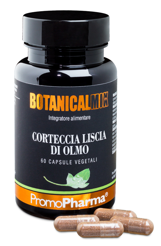 CORTECCIA LISCIA OLMO BOT60CPS