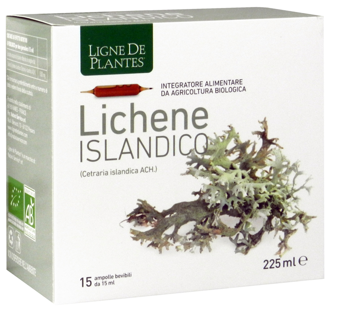 LICHENE ISLANDICO 15AMPX15ML