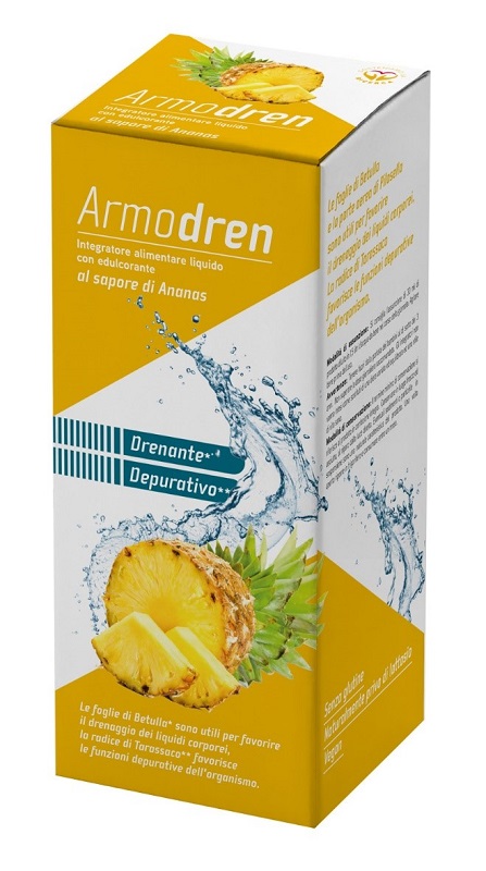 ARMODREN ANANAS 500ML