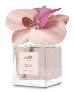 ORCHID DIFF ROSA ROSA AMBRA AN