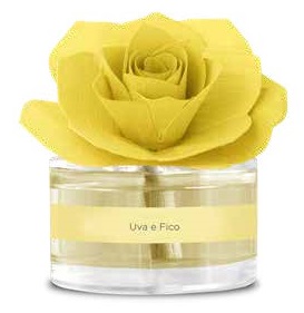 ROSE DIFF ROSA GI UVA/FICO50ML