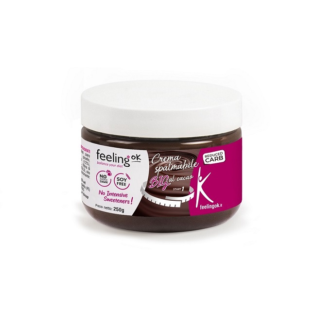 FEELING OK CREMA CACAO BIG250G