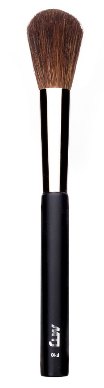 F10 BLUSHER BRUSH ROUND BROWN