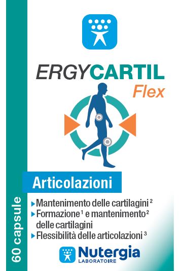 ERGYCARTIL FLEX 90CPS