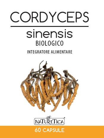 CORDYCEPS SINENSIS 60CPS