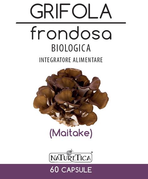 GRIFOLA FRONDOSA MAITAKE 60CPS