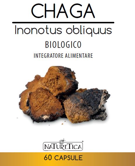 CHAGA INONOTUS OBLIQUUS 60CPS