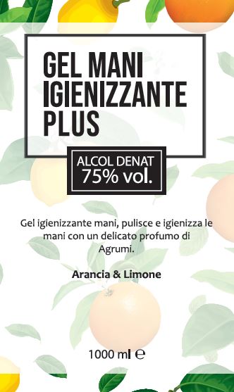 GEL MANI IGIENIZZANTE P 1000ML