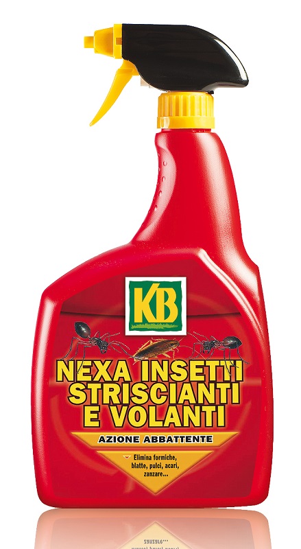 NEXA INSETTI STRISCIANTI VOLAN