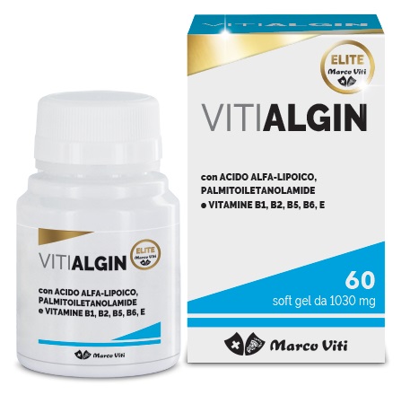 VITIALGIN 1030MG 60PRL