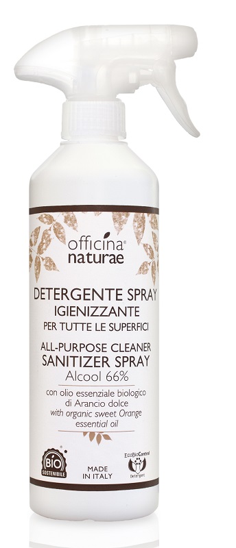 DETERGENTE MANI SPRAY IGIEN