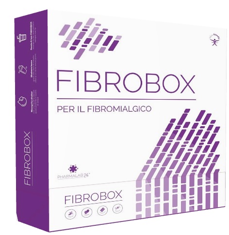 FIBROBOX 15BUST