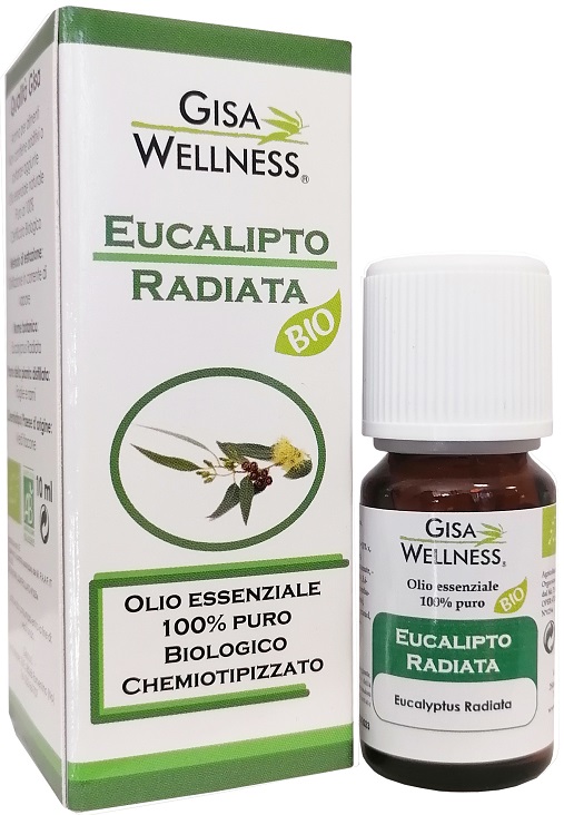 EUCALIPTO RADICATA BIO OE 10ML