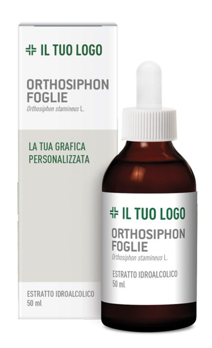 ORTOSIPHON FOGLIE TM