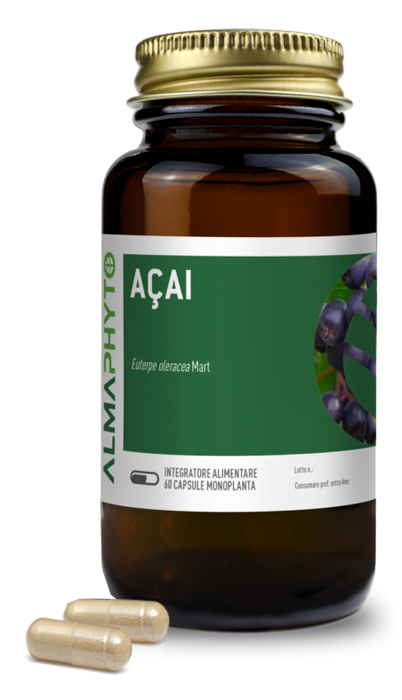 ACAI 60CPS ACAI 60CPS