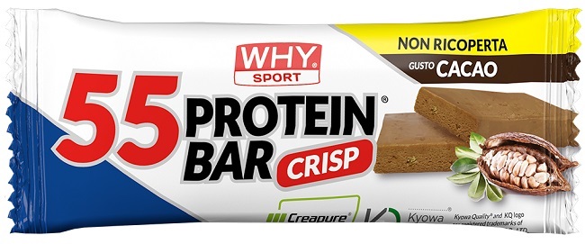 55 PROTEIN BAR CACAO