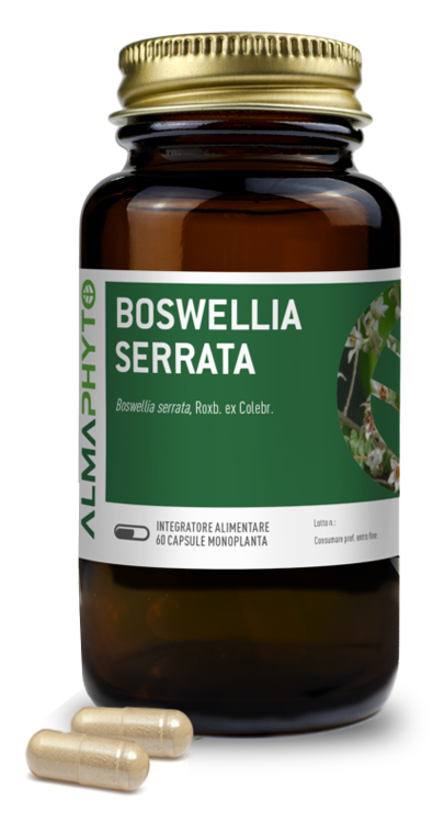 BOSWELLIA SERRATA 60CPS BOSWELLIA SERRATA 60CPS