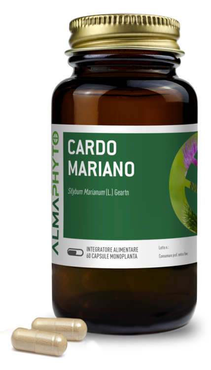 CARDO MARIANO 60CPS