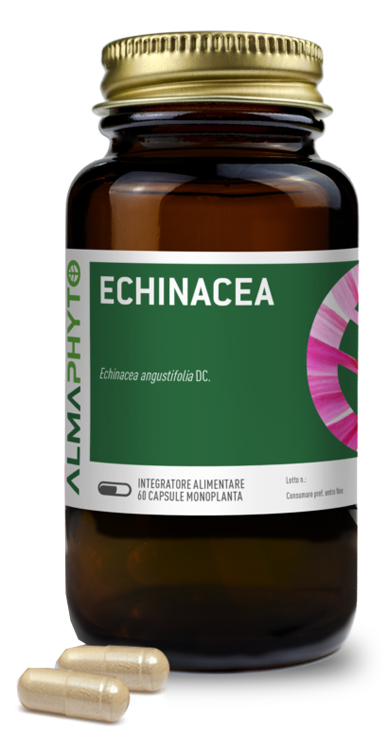 ECHINACEA 60CPS