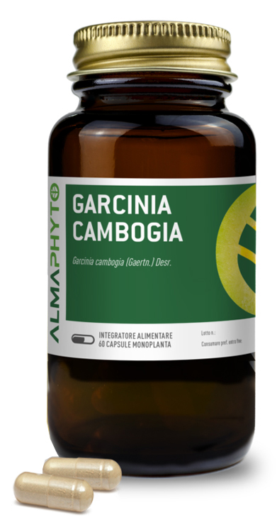 GARCINIA CAMBOGIA 60CPS GARCINIA CAMBOGIA 60CPS
