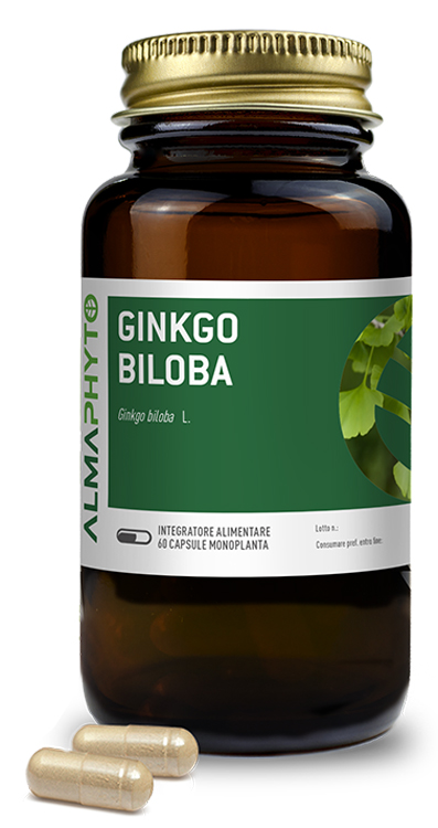 GINKGO BILOBA 60CPS GINKGO BILOBA 60CPS