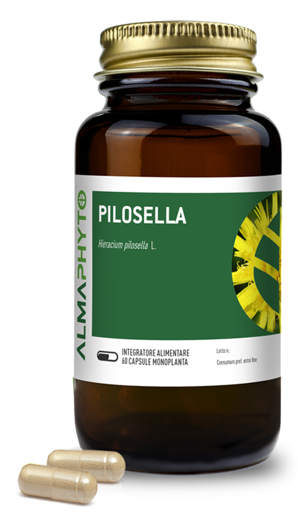 PILOSELLA 60CPS BOTTIGLIA