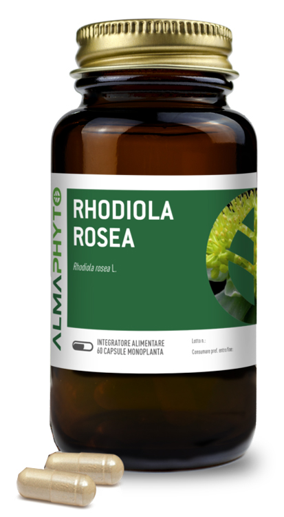 RODIOLA ROSEA 60CPS