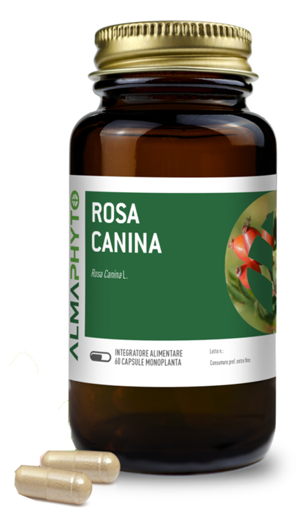 ROSA CANINA 60CPS ROSA CANINA 60CPS