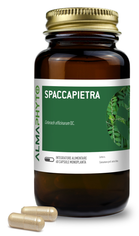 SPACCAPIETRA 60CPS