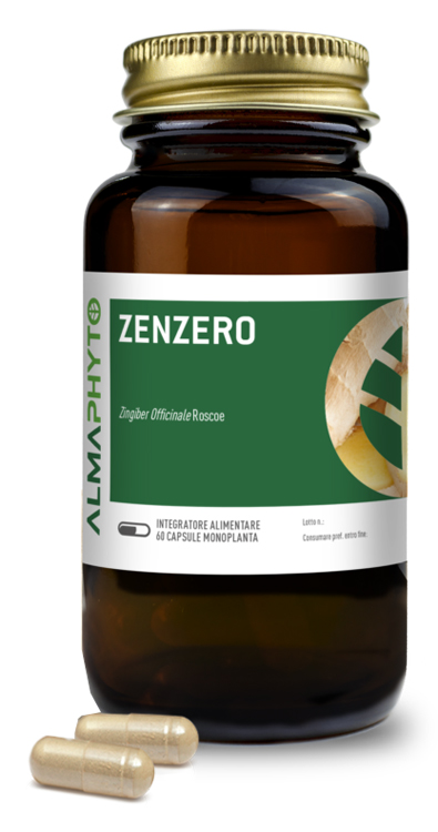 ZENZERO 60CPS ZENZERO 60CPS