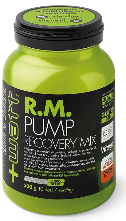 RM PUMP RECOVERY MIX ARA 500G