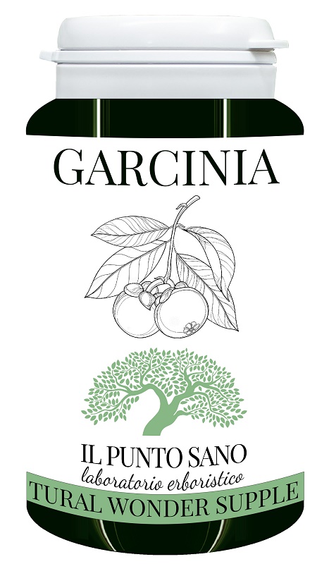 GARCINIA 90CPS