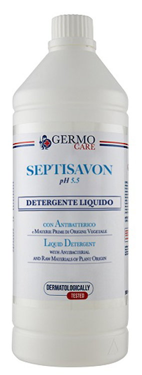 SEPTISAVON DETERGENTE LIQ 1L